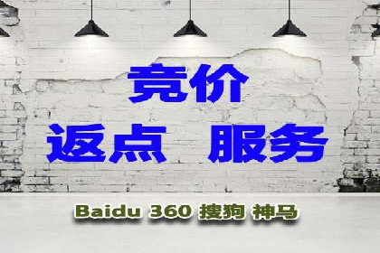 某电商平台的SEM推广策略及效果分析