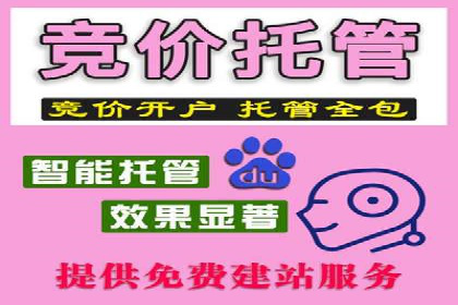SEM竞价案例教学，实战技巧大公开